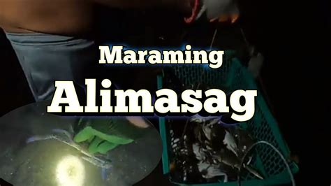 Marami Paring Alimasag Pangalawang Gabi Ng Panghuhuli Ng Alimasag Catch