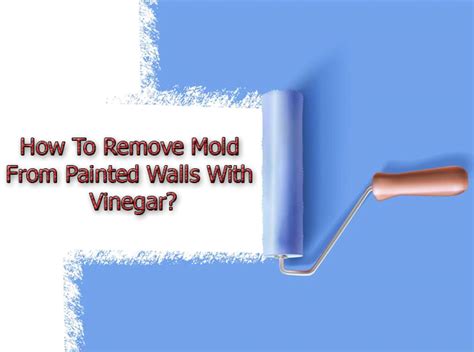 How To Remove Mold From Painted Walls With Vinegar Five Boro Mold