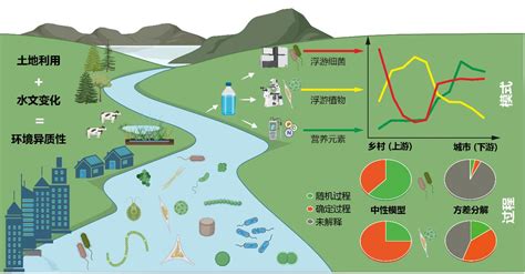 城市环境研究所杨军研究员团队在城市化对河流浮游生物群落的影响方面取得进展