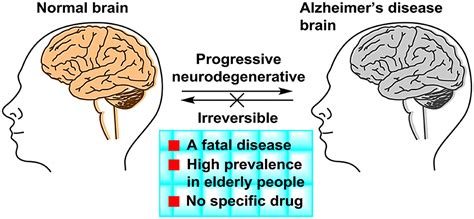 Frontiers Small Molecule Drugs Development For Alzheimer S Disease