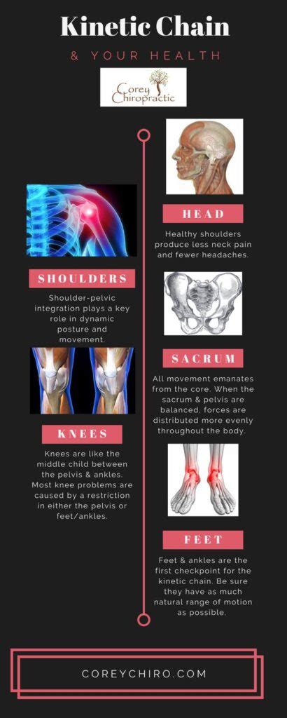 Kinetic Chain & Our Health Part II - Corey Chiropractic