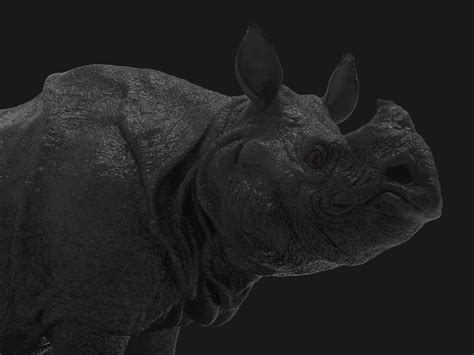 Artstation Rhino Series Indian Rhino