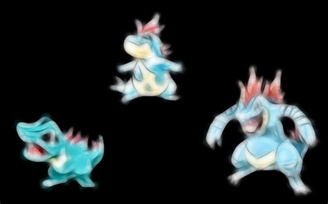 Totodile Pokemon Croconaw Pokemon Feraligatr Pokemon Water Pokemon