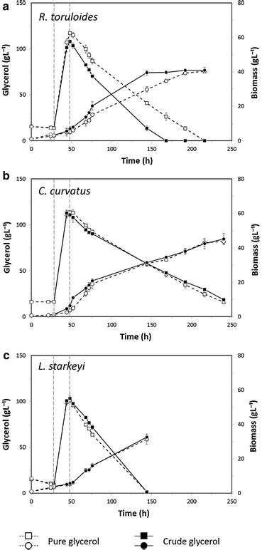 Glycerol Consumption And Growth CDW Profiles Of R Toruloides C