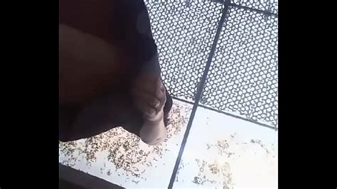 Upskirt Midgets Watch Free XXX Porn Videos