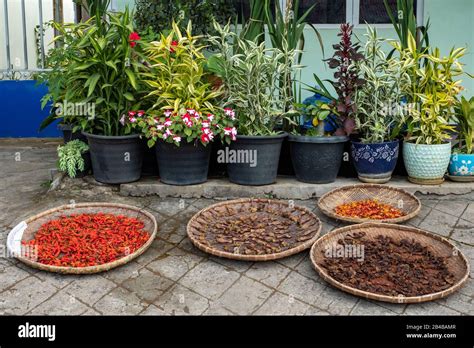 Laos Phongsaly Province Phongsaly Town In A Street Stock Photo Alamy