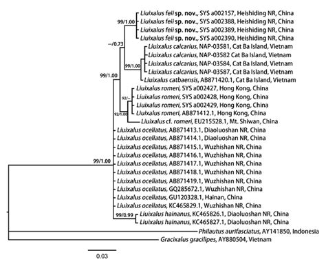 Bayesian Inference Bi Tree Derived From Partial Dna Sequences Of The