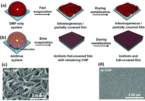 Schematic Illustration Of Perovskite Film Formation With A Dmf Only