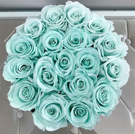 Pin By Diane Harding On Teal Things In Tiffany Blue Flowers