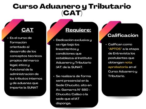 Conoce Las Evaluaciones Que Realizar Sunat Para El Cat Tributaci N