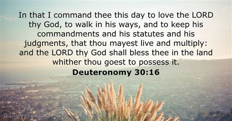 Deuteronomy 30:16 - Bible verse (KJV) - DailyVerses.net