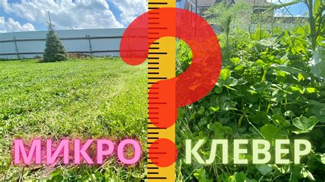 МИКРОКЛЕВЕР | ВСЕ ЭТАПЫ | Не покупай, пока не посмотришь! - YouTube