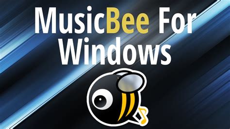 MusicBee For Windows Best Music Manager Period YouTube