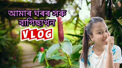 আমাৰ ঘৰৰ সৰু বাগিছাখন Assamese Garden Vlog ♥️🌸 Youtube