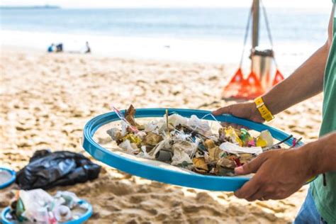 Causas Y Consecuencias De La Contaminaci N Del Agua