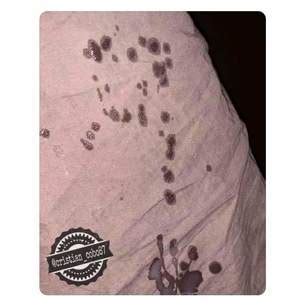 Venecia86 Profile Page XVIDEOS