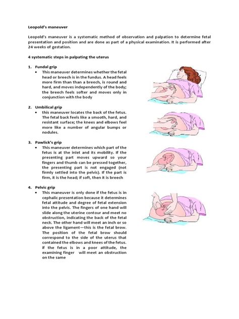 Leopold S Maneuver Pdf