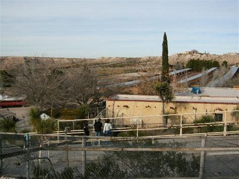 Cattleman's Steakhouse Indian Cliffs Ranch, El Paso - Menu, Prices ...