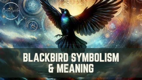 Blackbird Symbolism & Meaning - Spirit & Totem Animal