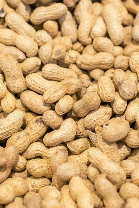 Peanuts In Shell Texture Background Raw Peanuts On Display At A Farmer