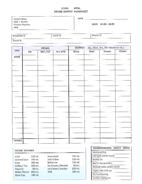 Sample Intake And Output Sheet