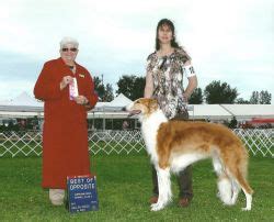 Borzoi - The Breed Archive