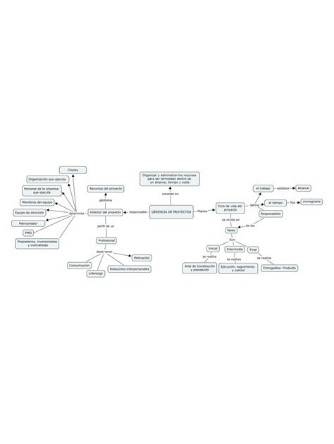 Mapa Conceptual Del Rol Del Profesional En Gerencia De Proyecto Por