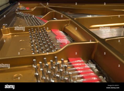 Modelo D Steinway piano de cola de concierto Fotografía de stock Alamy