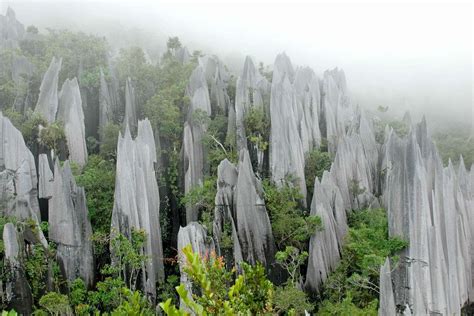 Gunung Mulu Nationalpark Auf Borneo Malaysia Franks Travelbox