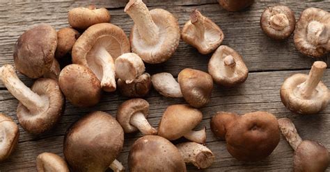 Funghi shitake proprietà benefici e come utilizzarli in cucina