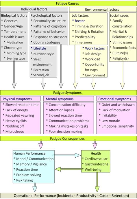 Causes, symptoms and consequences of fatigue (adapted from Australian ...