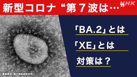 オミクロン株の症状・重症化や感染力などは Ba1 Ba2 Ba275 Ba4 Ba5 Xeとは コロナ変異ウイルス最新情報｜nhk