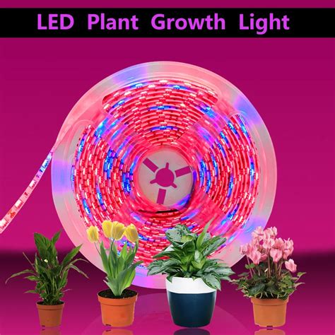 Tira De Luces Led De Espectro Completo Para Cultivo De Plantas L Mpara