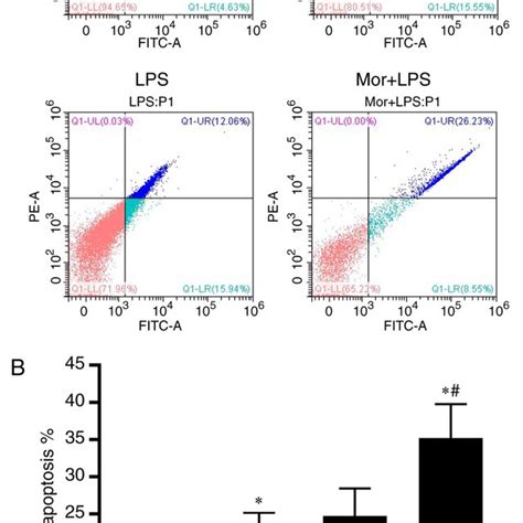 Flow Cytometric Analysis Of Apoptosis In Bmdms A Flow Cytometry