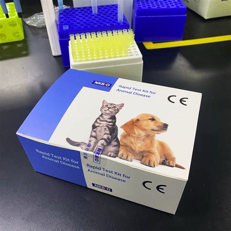 Canine Distemper Virus Antigen Rapid Test Canine Distemper Virus Antigen Lateral Flow Assay kit