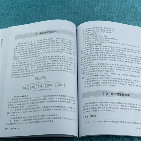 发酵与酶工程李珊珊发酵产酶技术应用技术书籍微生物工程酶化学蛋白质分离纯化技术综合应用型教材酶发酵动力学酶分离纯化技术虎窝淘