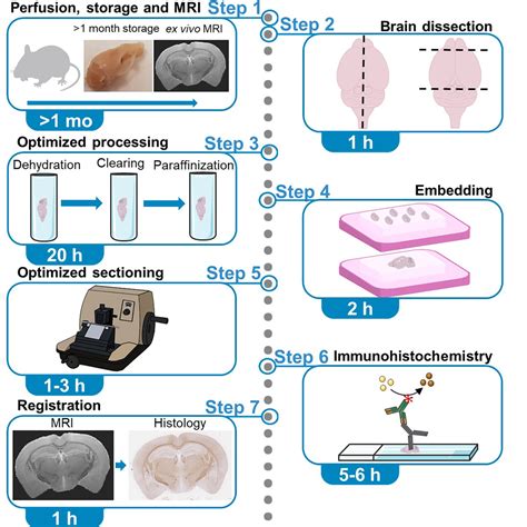 Cell Press Star Protocols