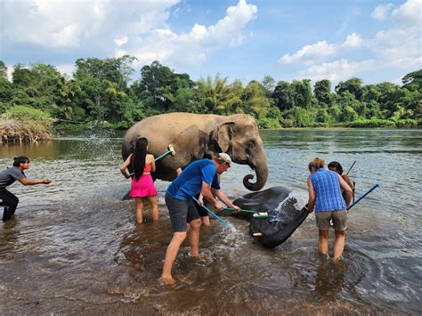 Half Day Afternoon Elephant Tour