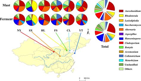 Frontiers The Biogeography Of Fungal Communities Across Different