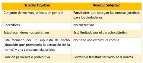 Derecho Objetivo Y Subjetivo Diferencias Y Ejemplos Hot Sex Picture