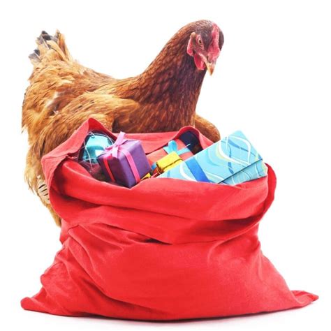 Your Chicken-Obsessed Friend Needs These Gifts (Trust Me, I'm One of ...