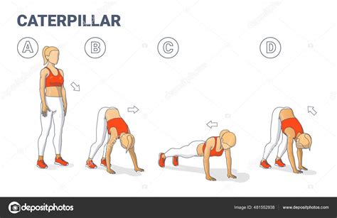 Girl Doing Caterpillar Walk Exercise Fitness Home Workout Guidance Illustration. Inchworm ...