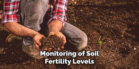 How to Improve Soil Fertility | Step by Step Guide (2025) 