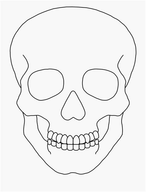 Skull Outline Clip Art - Simple Human Skull Drawing is popular png ...