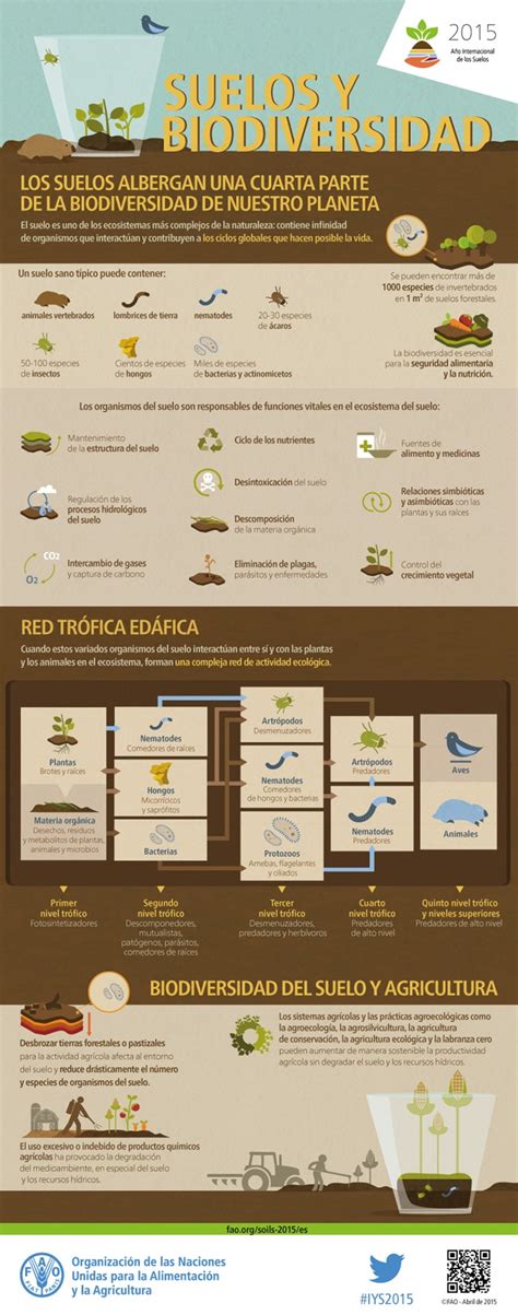 101 Imágenes E Infografías En Ecosistemas Ovacen