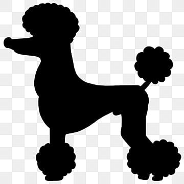 French Poodle Clip Art