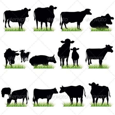 Cattle Grazing Silhouette - Livestock Cattle