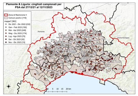 I Controlli Per La Peste Suina Africana Quattordici Nuovi Casi Tra