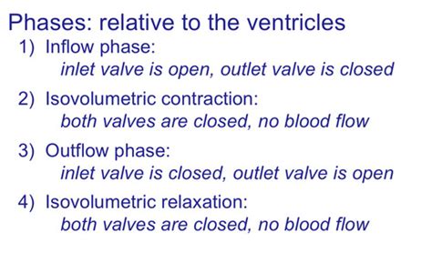 Cardiac Physiology 3 Heart As A Pump Flashcards Quizlet