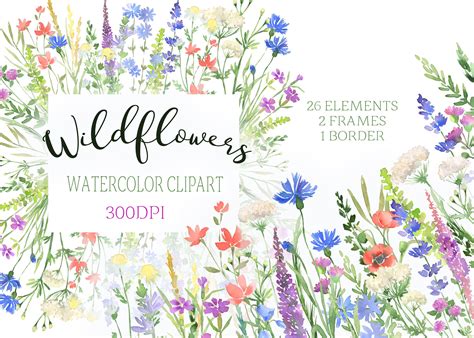 Watercolor Wildflowers Clipart Botanical Floral Files Flowers Clip Art